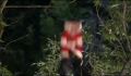 dr dolittle 3-avi_123.jpg